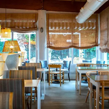 Отель Ibis Valencia
